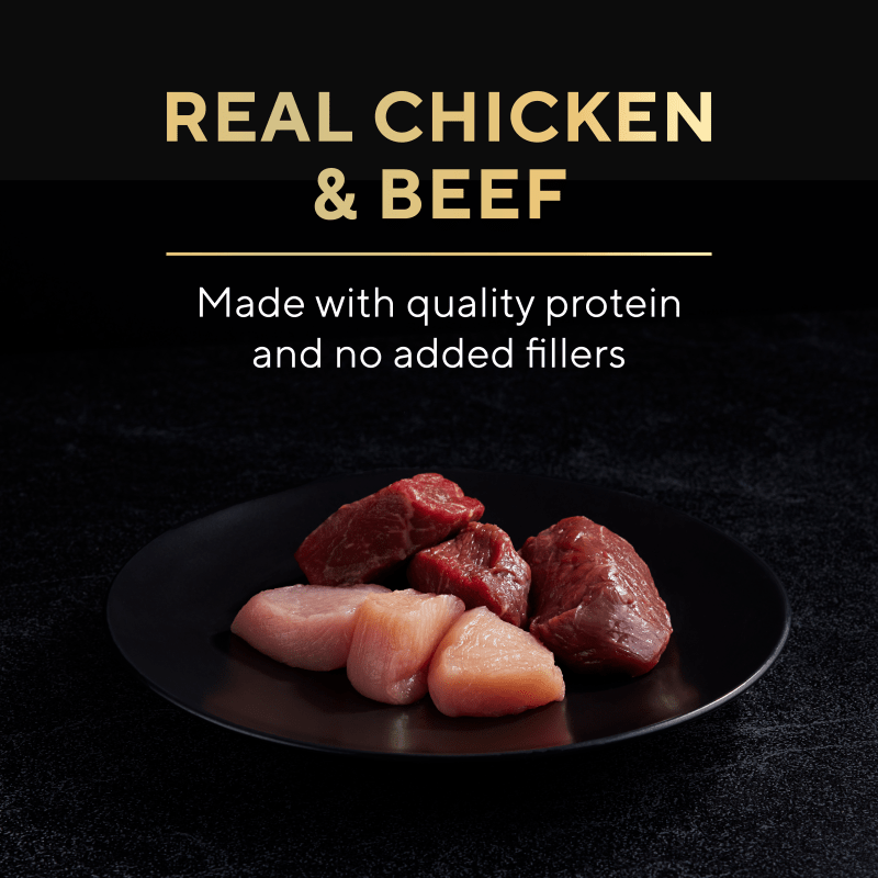 Bargainnshop – Fresh Quality You Can Trust