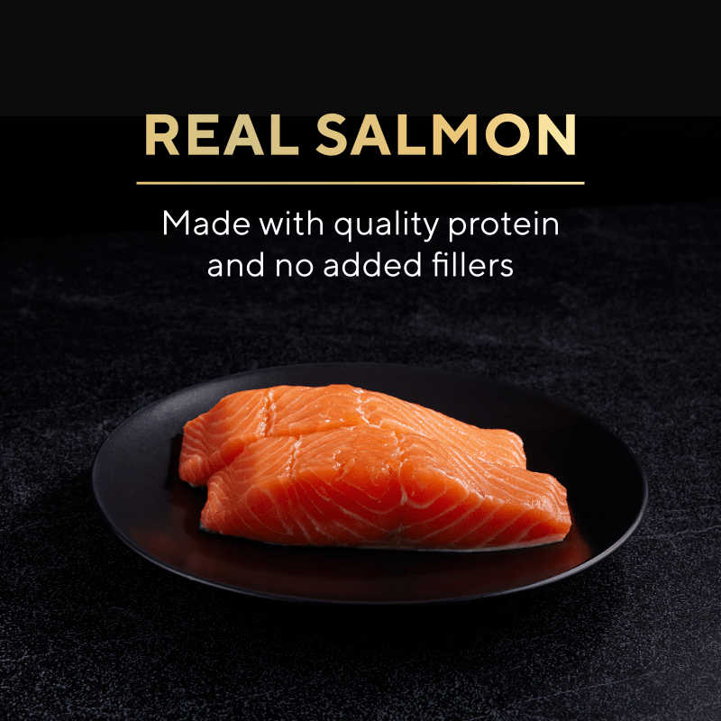 Bargainnshop – Fresh Quality You Can Trust